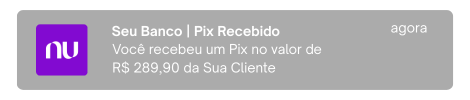 8 - Copia